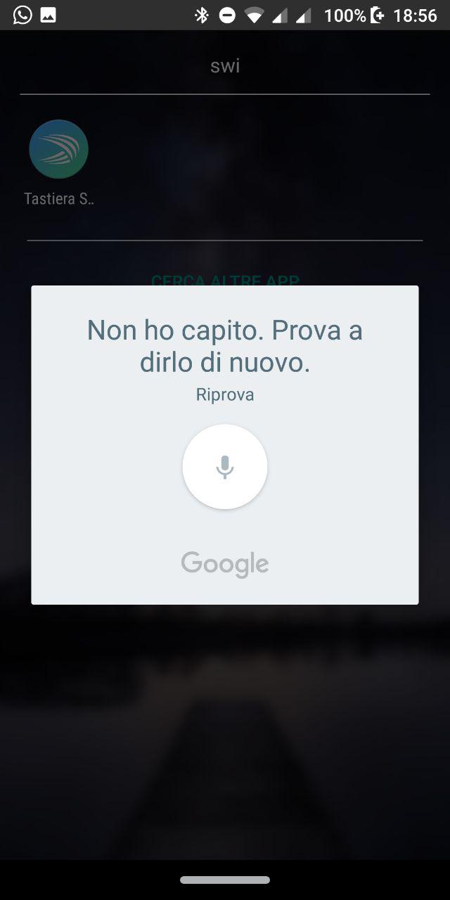 google_digitazione_vocale (1) WhatsApp