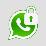 Whatsapp come spiare foto e video