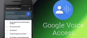 Google voice access app