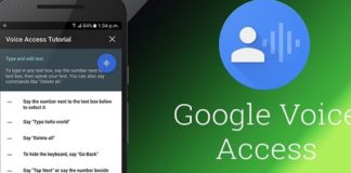 Google voice access app