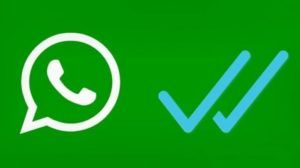 whatsapp offline