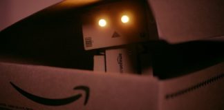 Amazon robot domestico
