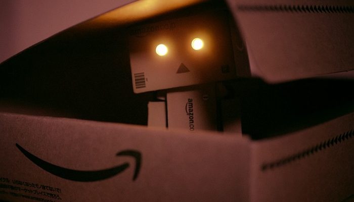 Amazon robot domestico