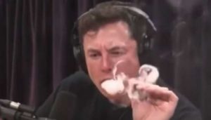 elon-musk