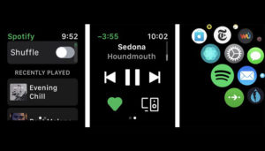 Spotify per Apple Watch