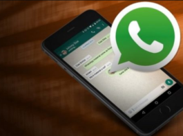 WhatsApp: che multa per gli utenti, il nuovo messaggio obbliga a pagare 300 euro