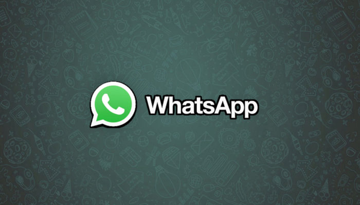 WhatsApp: aggiornamento importantissimo finalmente in arrivo, utenti felicissimi 
