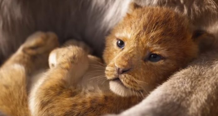 il-re-leone-disney