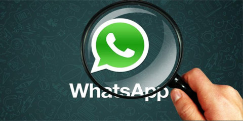 spiare Storie Whatsapp