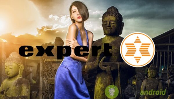 Expert