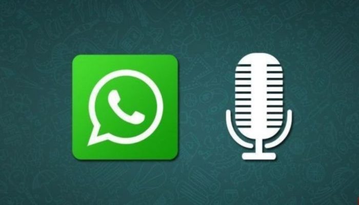 Whatsapp da voce a testo