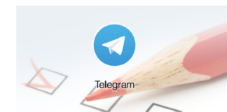 telegram poll