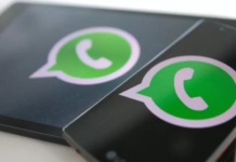 WhatsApp: nuovo aggiornamento e utenti in delirio, fuznion fantastica in arrivo