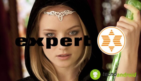 Expert