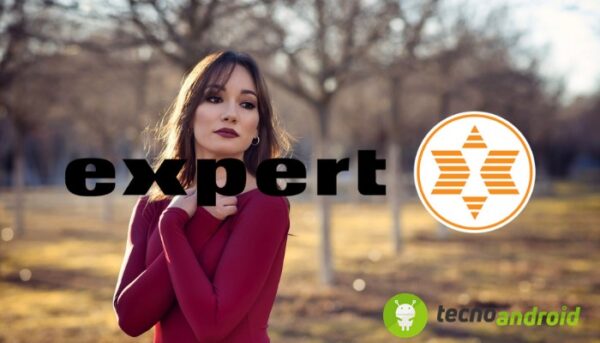 Expert