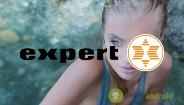 Expert