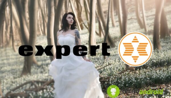 Expert