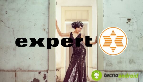 Expert
