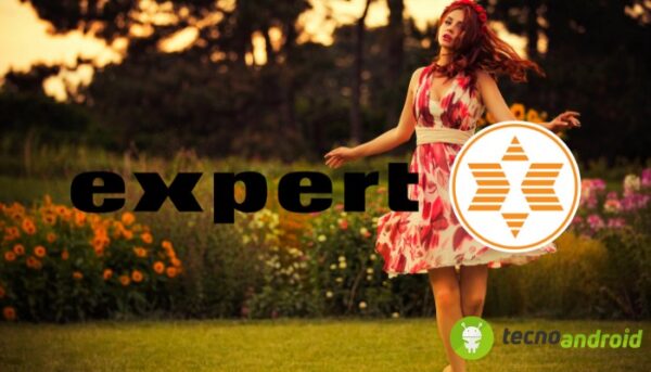 Expert