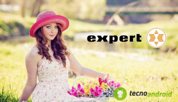 Expert