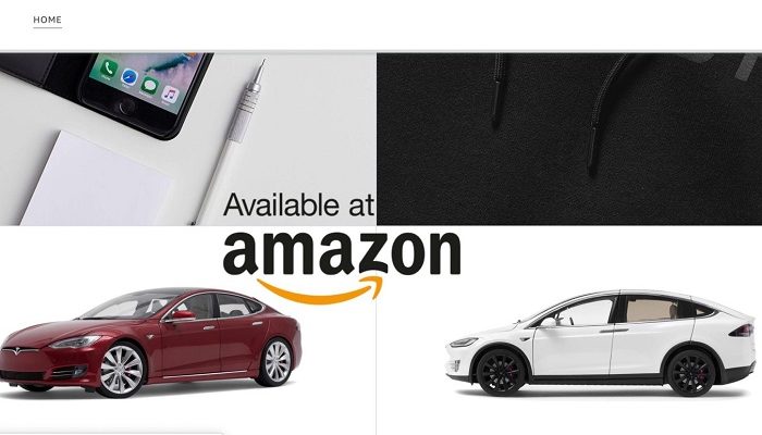 Amazon Tesla