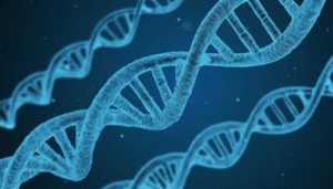 database-dna