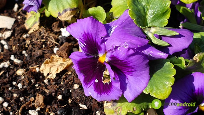 20190314_151423