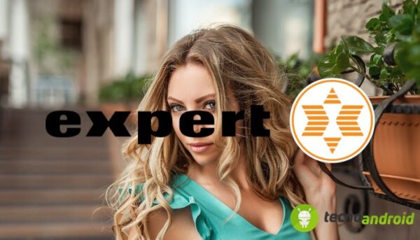Expert