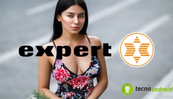 Expert