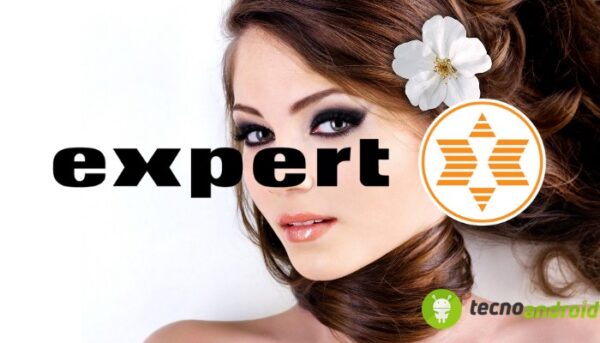 Expert