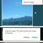 Whatsapp nuovo aggiornamento fake news