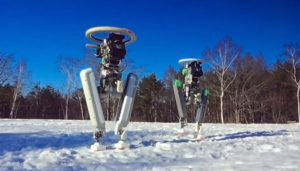 robot-bipede-google-robotica-sforzi