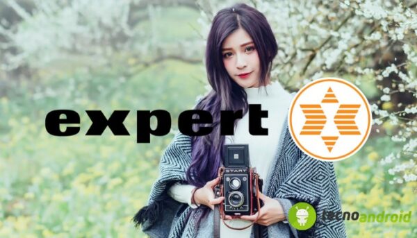 Expert
