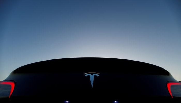 Parasole Tetto In 2 Parti Per Tesla Model Y 2020-2024 - Tessuto Riflettente Con Clip Di Fissaggio