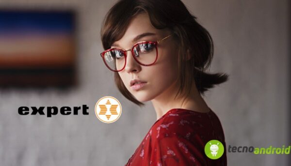 Expert