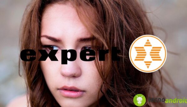 Expert