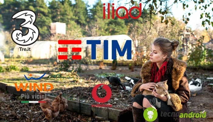 Disservizi di Wind, Iliad, Vodafone, TIM e Tre: nuovi down su Downdetector