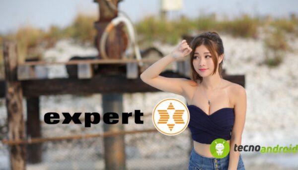 Expert