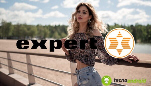 Expert