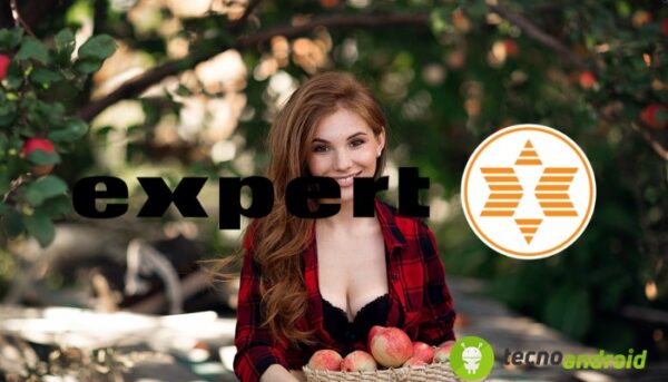 Expert