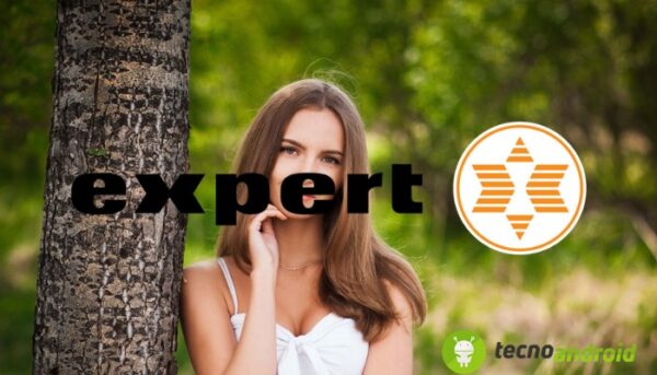 Expert