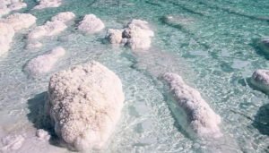 pesci-nel-mar-morto-ezechiele