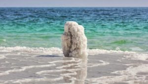pesci-nel-mar-morto