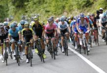 Waze è ufficialmente il Traffic Partner del Giro d'Italia 2019