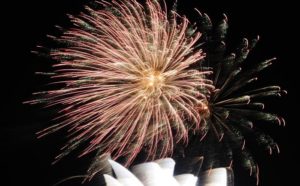 Firework