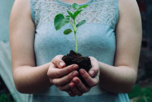 Il 5 giugno è la Giornata Mondiale dell'Ambiente