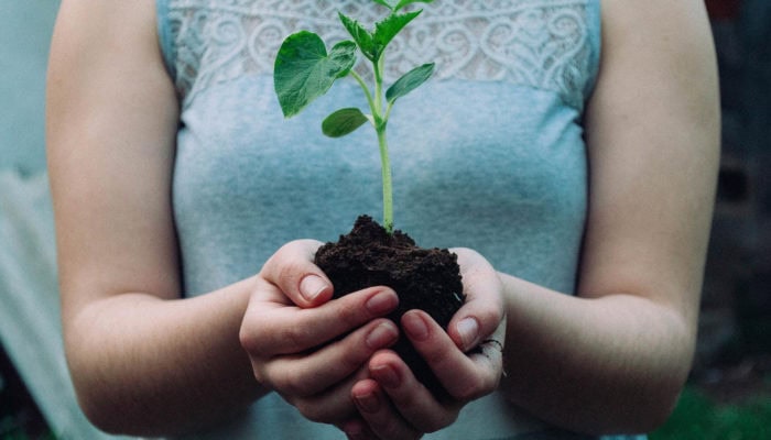 Il 5 giugno è la Giornata Mondiale dell'Ambiente