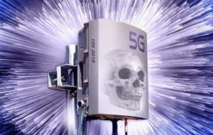 5G radiazioni causeranno estinzione uomo