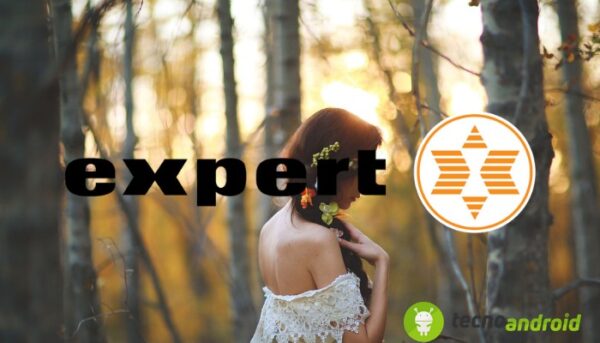 Expert