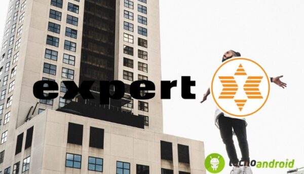 Expert